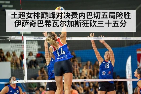 volleyball match